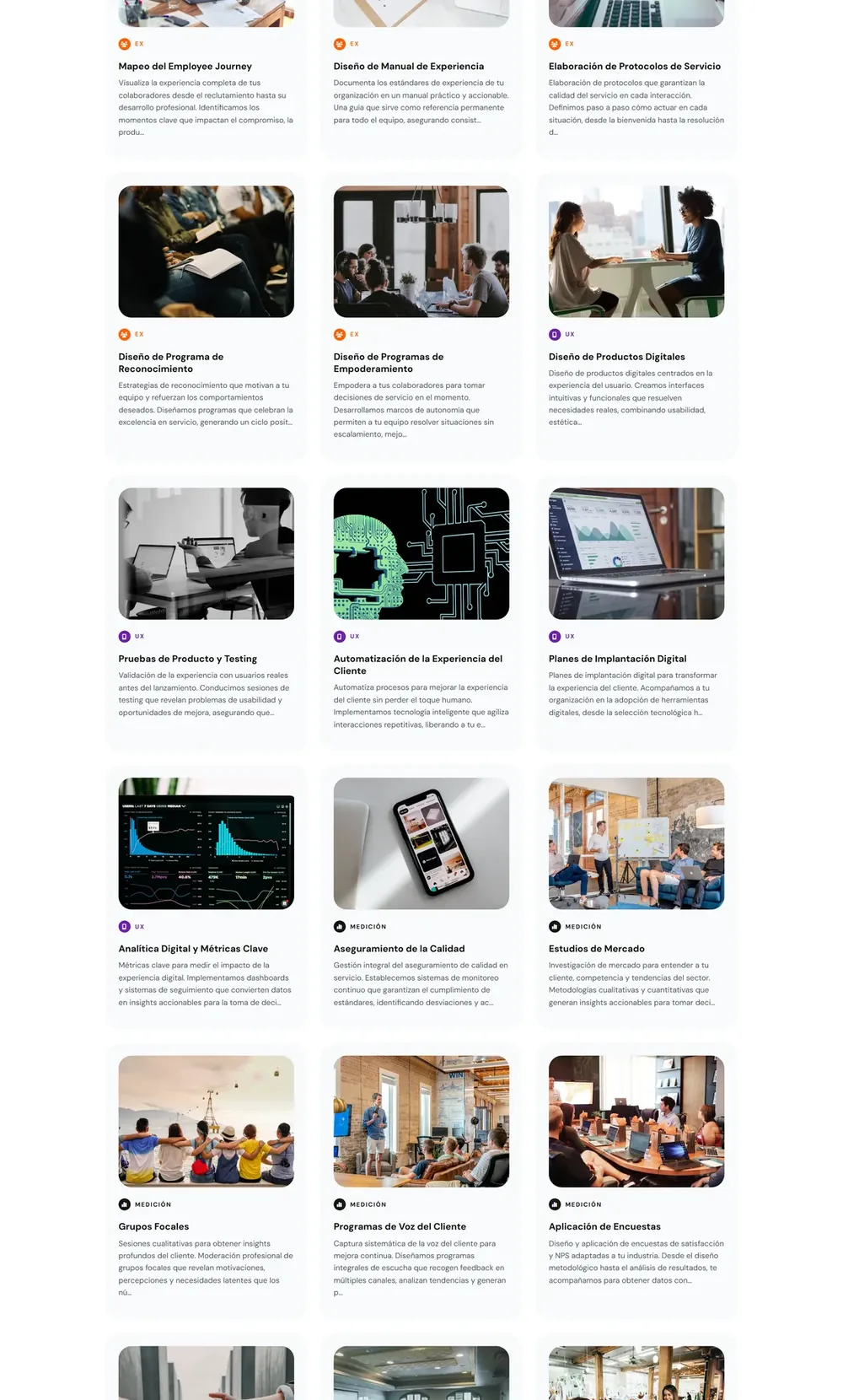 Keiken Consultorax, Servicios de consultoría (parte 2)