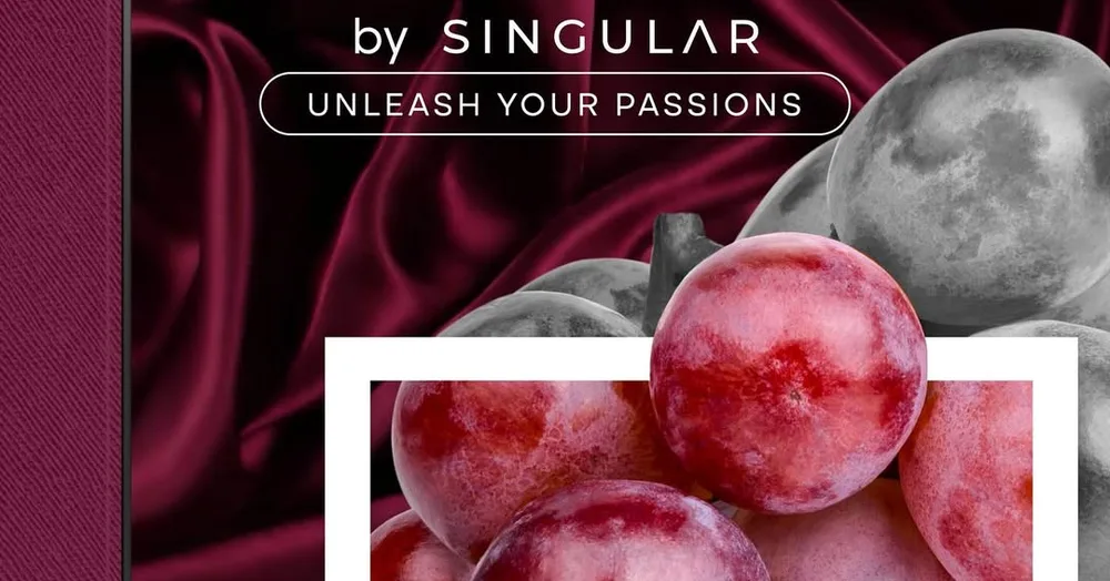 Singular, lanzamiento y catálogo