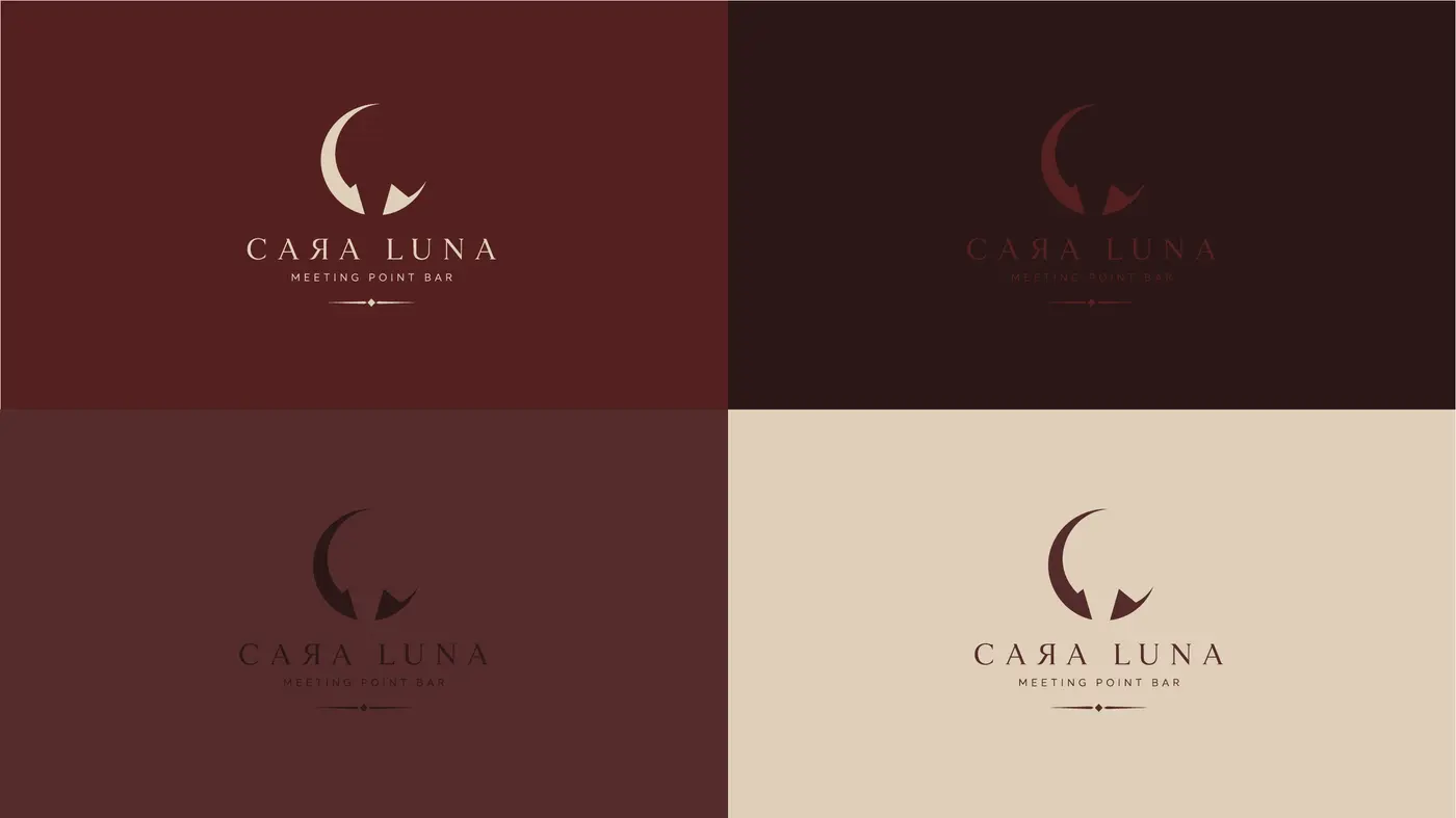 Cara Luna, lámina 5 del manual de marca