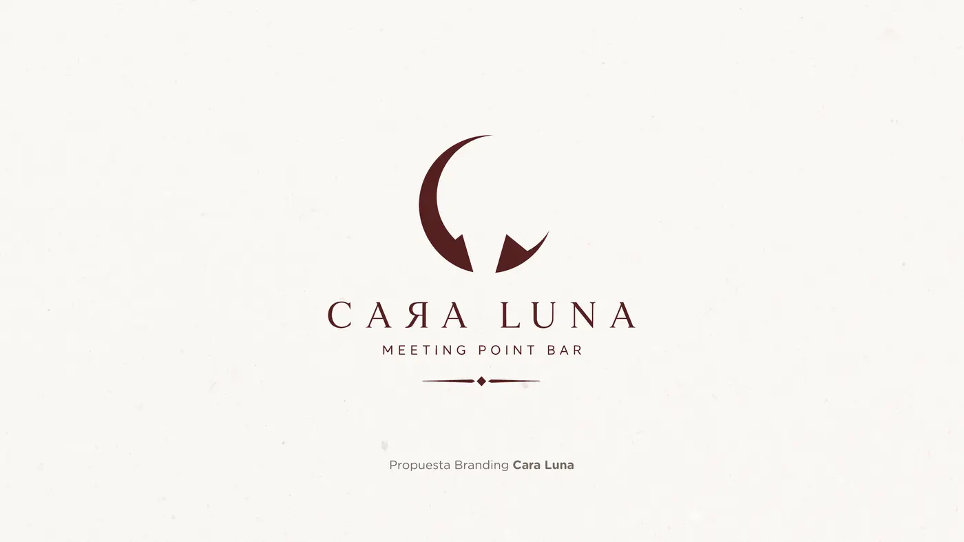Cara Luna, lámina 7 del manual de marca