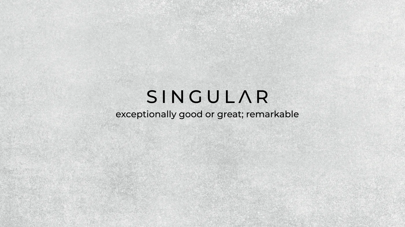 Singular, lámina 1 del manual de marca